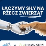 Read more about the article Łączymy siły z Prawnikami na Rzecz Zwierząt